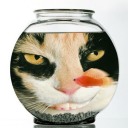 ������ ��� ���� ����