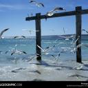 ������ ��� ����� ���