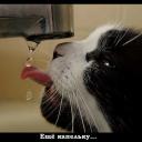 ������ ��� ������ ���