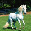 ������ ��� ��������