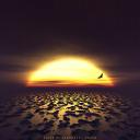 ������ ��� Klara Myvsc