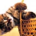 ������ ��� Aliona Tivin