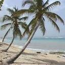 ������ ��� Lina