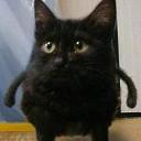 ������ ��� ��������