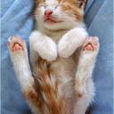 ������ ��� ���������