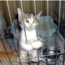 ������ ��� ������� ���