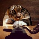 ������ ��� Madonna sv