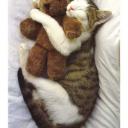 ������ ��� �� ������