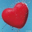 ������ ��� ���� ����