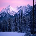 ������ ��� ��������