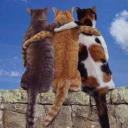 ������ ��� �� � �����